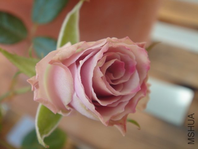 DSC03623.JPG