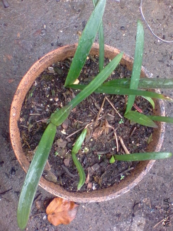 2011-10-11 12.03a.jpg