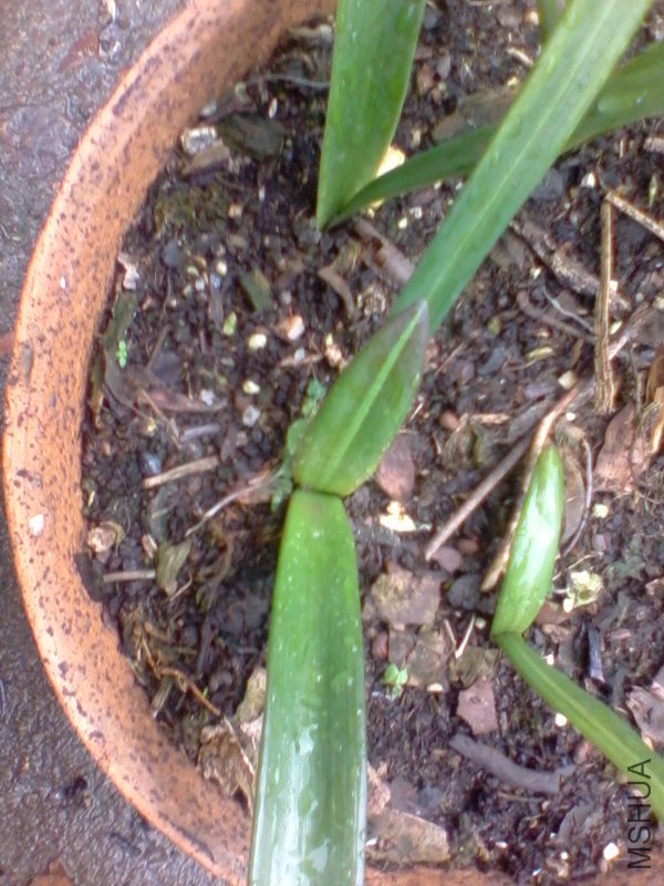 2011-10-11 12.03b.jpg