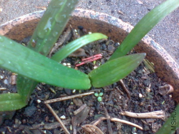 2011-10-11 12.03c.jpg