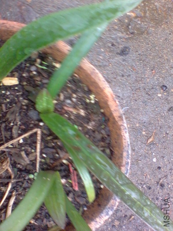 2011-10-11 12.04d.jpg