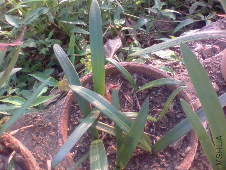 2011-11-01 16.49a.jpg