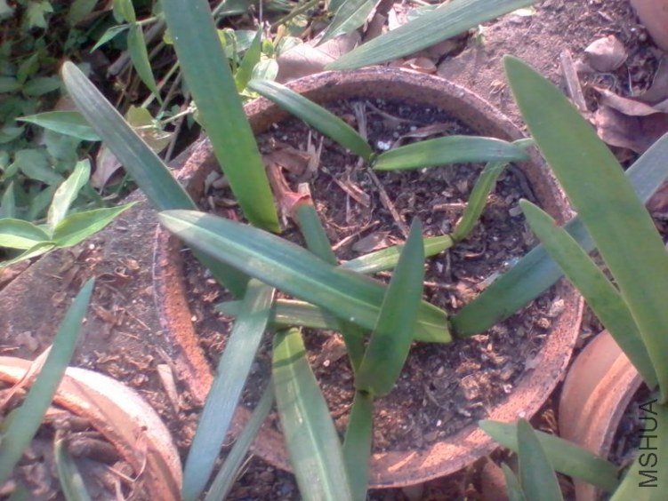 2011-11-01 16.49b.jpg