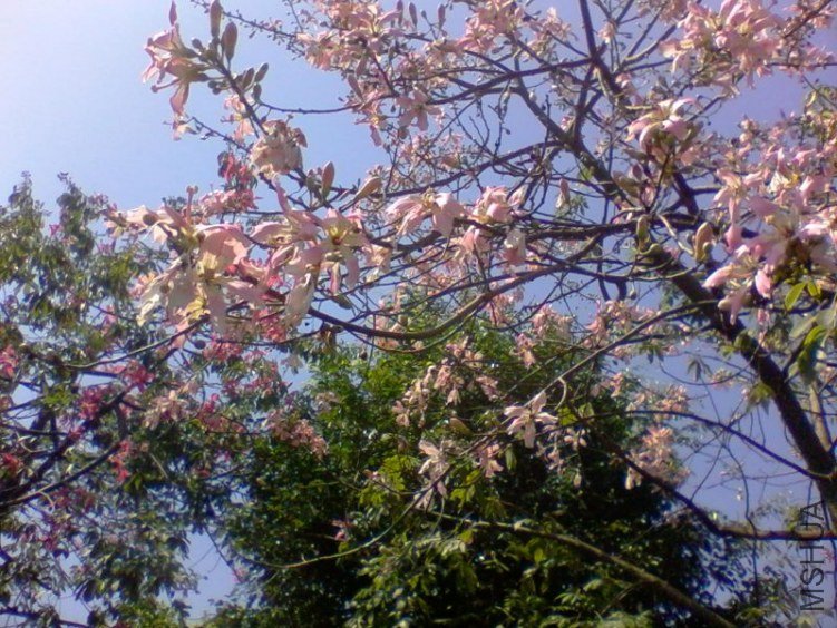 2011-10-18 11.58a.jpg