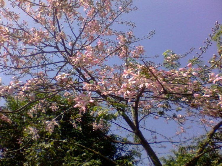 2011-10-18 11.59b.jpg