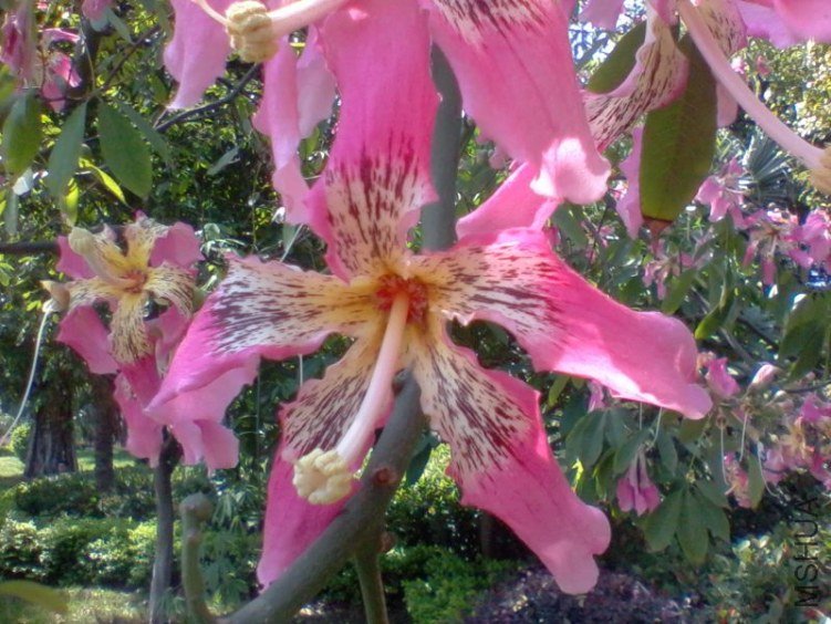 2011-10-18 11.59c.jpg