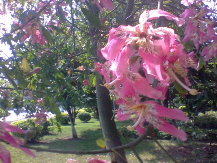 2011-10-18 11.59d.jpg