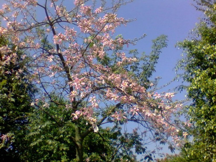 2011-10-18 11.59e.jpg