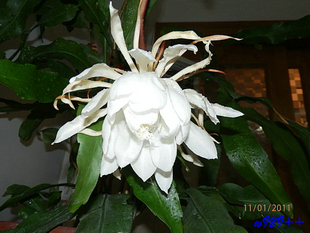 PB010261.jpg