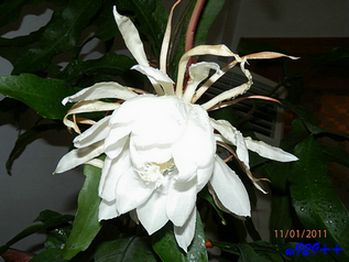 PB010266.jpg