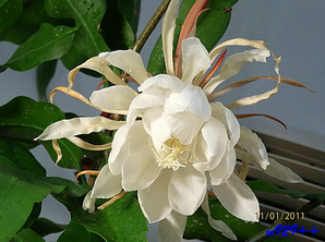 PB010294.jpg