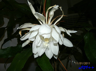 PB010305.jpg
