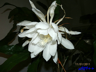 PB010308.jpg