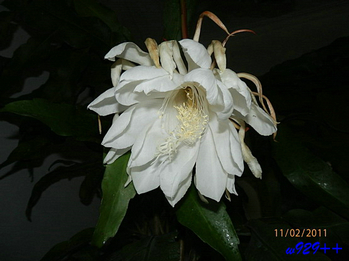 PB020315.jpg