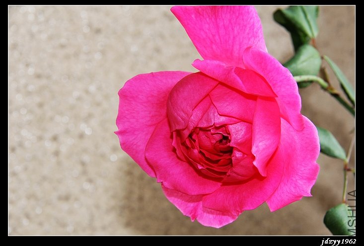 nEO_IMG_IMG_0040.jpg