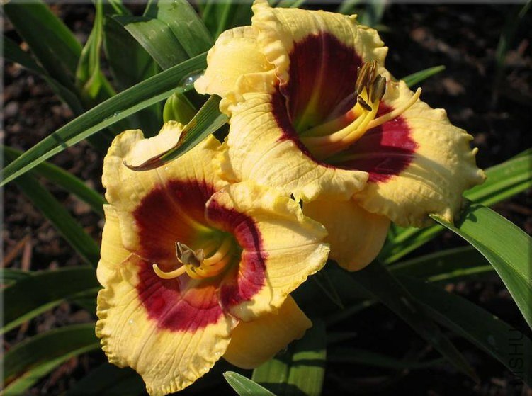 ���� clip_image002.jpg