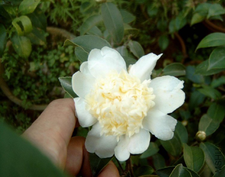S4100010.JPG