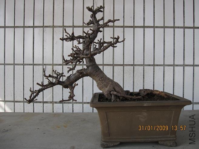 2009���ڹ��� 051.jpg