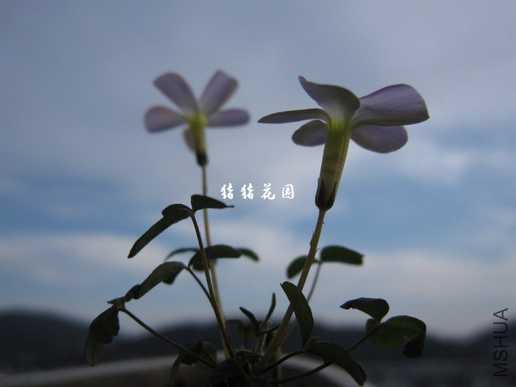 IMG_1147.jpg