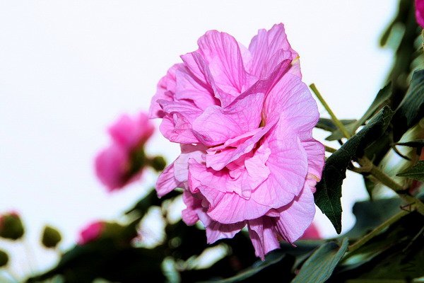 IMG_8876.jpg