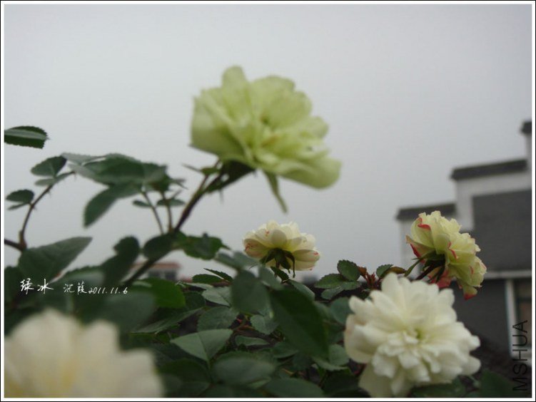 05.jpg
