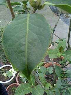 IMG1028140500.jpg