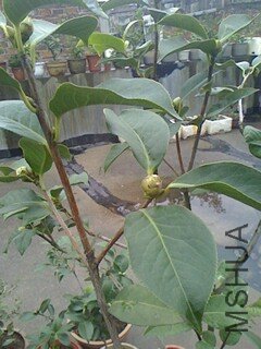 IMG1028140502.jpg