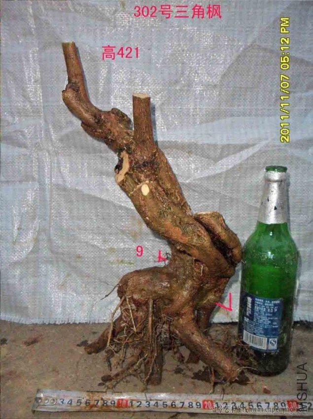 ���� 174442gh4otg5bz4vxadfu.jpg