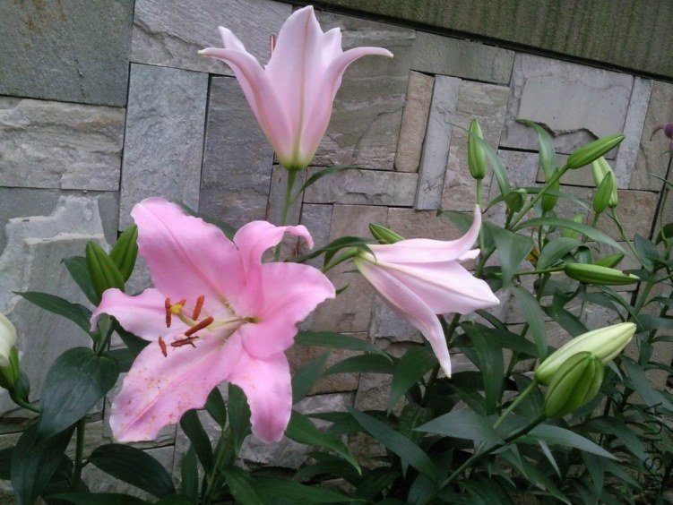 ������С ��Ƭ1308.jpg