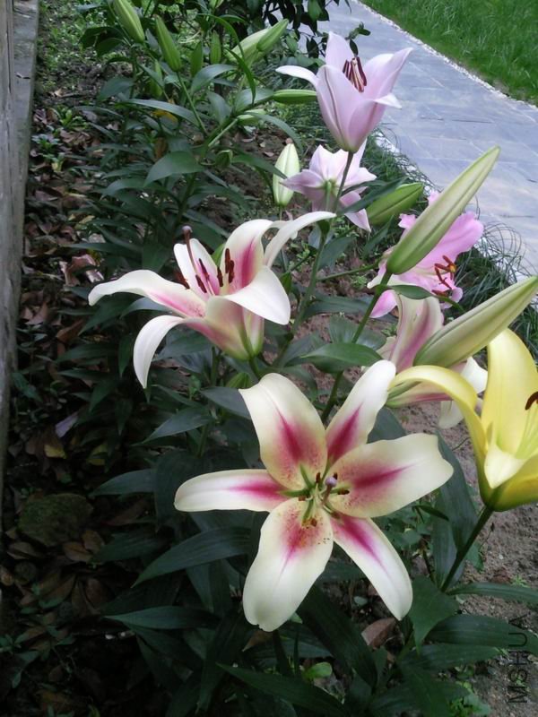 ������С ��ת ��Ƭ1309.jpg