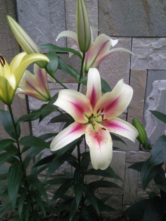 ������С ��ת ��Ƭ1307.jpg