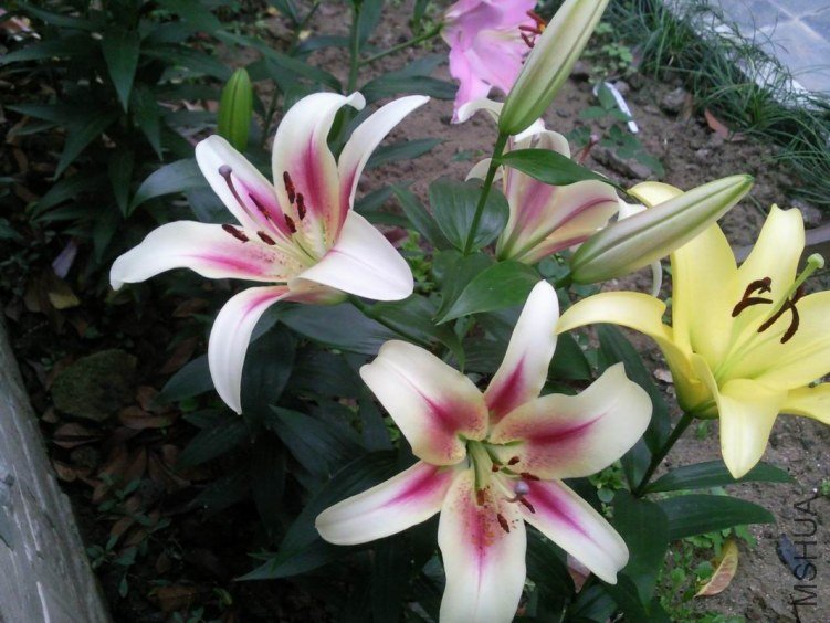 ������С ��Ƭ1310.jpg