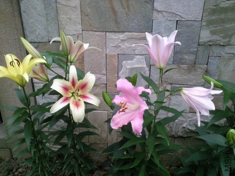 ������С ��Ƭ1311.jpg