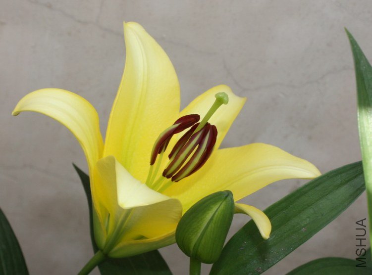 2011103103.jpg