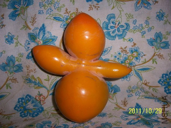 20110914 001.jpg