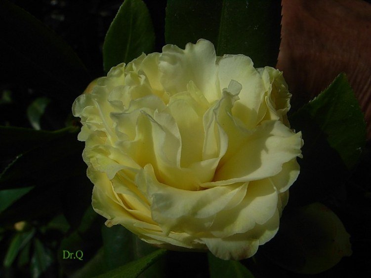 ���S��-3