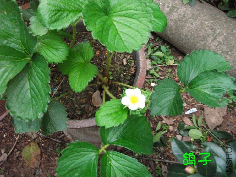 DSCF3035_����.jpg