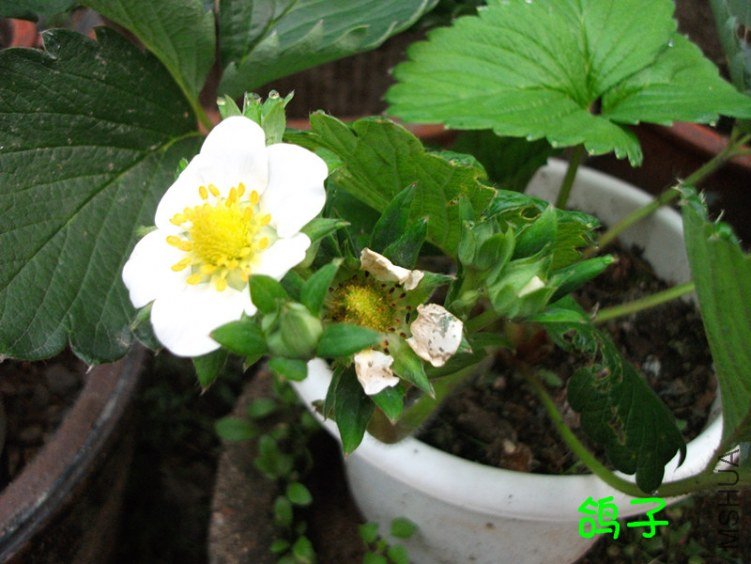 DSCF3036_����.jpg