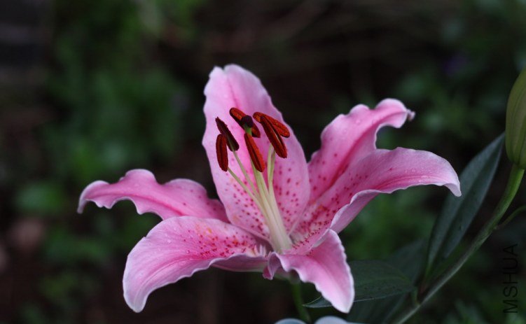 2011110901.jpg