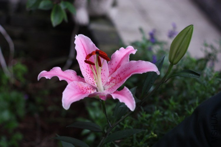 2011110902.jpg