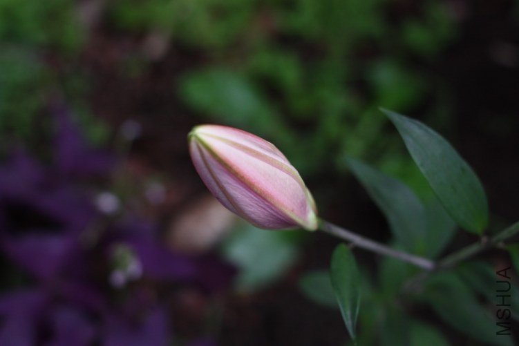 2011110903.jpg