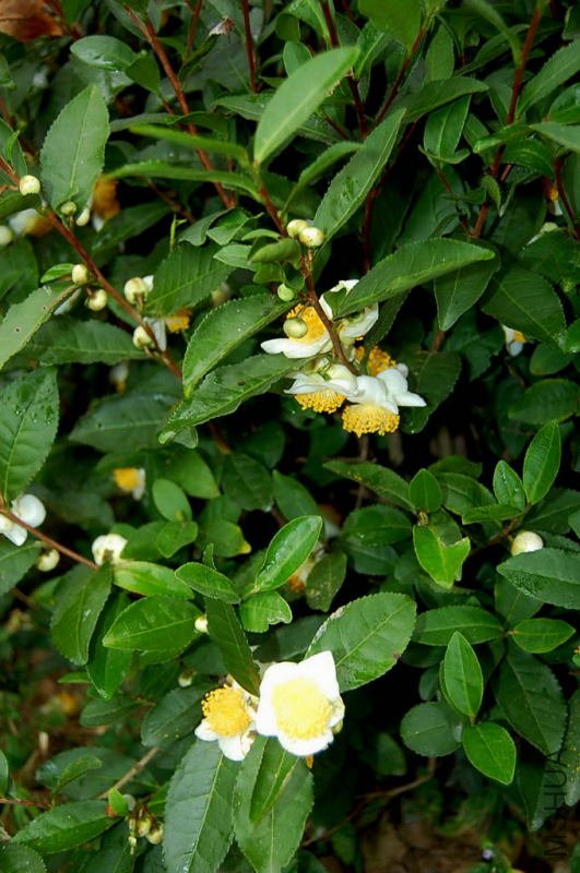 DSC_009000900090.JPG