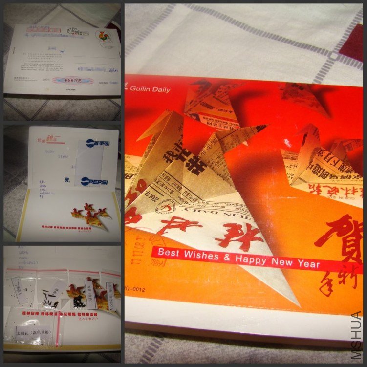 DSC09639_conew1.jpg