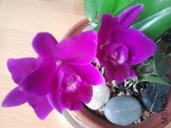 2011-11-11 15.39.25.jpg