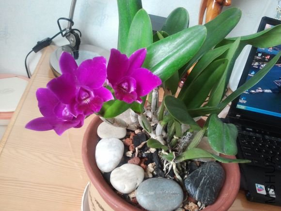 2011-11-11 15.40.02.jpg