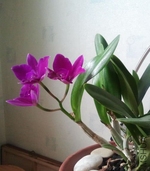2011-11-11 15.40.49.jpg