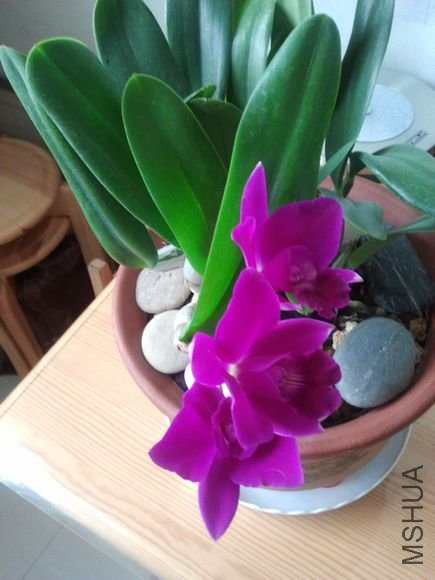 2011-11-11 15.41.33.jpg