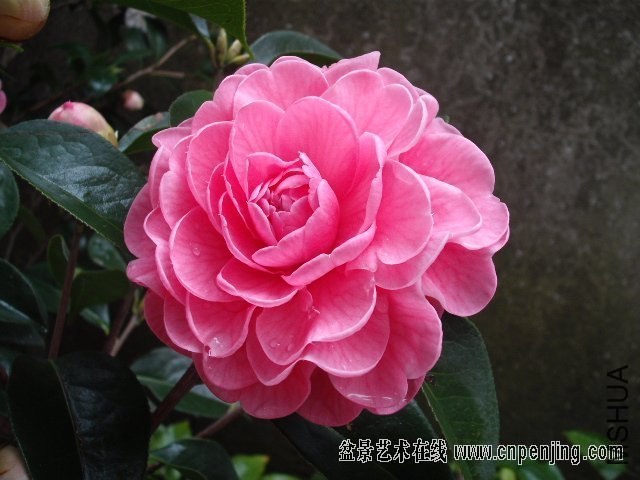 075803unni70nxk0sxzk7a.jpg