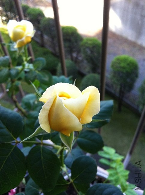 IMG_0490.JPG