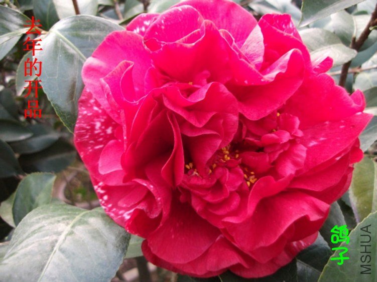 psu[2]_����.jpg